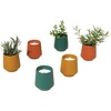 image:imageModern Sprout  2in1 Soy Candle amp Planter  in The Weeds Eucalyptus Pink Pepper Patchouli Citrus 6 Oz Scented Candle wMint Seeds  Ceramic Vessel Dual Purpose Jar  3840 Hour Burn3pack Lavender  Rosemary  Thyme