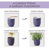 image:imageModern Sprout  2in1 Soy Candle amp Planter  in The Weeds Eucalyptus Pink Pepper Patchouli Citrus 6 Oz Scented Candle wMint Seeds  Ceramic Vessel Dual Purpose Jar  3840 Hour Burn1Pack Violet Hour  Lavender