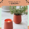 image:imageModern Sprout  2in1 Soy Candle amp Planter  in The Weeds Eucalyptus Pink Pepper Patchouli Citrus 6 Oz Scented Candle wMint Seeds  Ceramic Vessel Dual Purpose Jar  3840 Hour Burn1Pack Rosemary  Cucumber