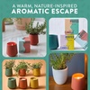 image:imageModern Sprout  2in1 Soy Candle amp Planter  in The Weeds Eucalyptus Pink Pepper Patchouli Citrus 6 Oz Scented Candle wMint Seeds  Ceramic Vessel Dual Purpose Jar  3840 Hour Burn1Pack Thyme  Tonka Bean
