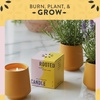image:imageModern Sprout  2in1 Soy Candle amp Planter  in The Weeds Eucalyptus Pink Pepper Patchouli Citrus 6 Oz Scented Candle wMint Seeds  Ceramic Vessel Dual Purpose Jar  3840 Hour BurnLavendar  Cedarwood