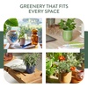image:imageModern Sprout  2in1 Soy Candle amp Planter  in The Weeds Eucalyptus Pink Pepper Patchouli Citrus 6 Oz Scented Candle wMint Seeds  Ceramic Vessel Dual Purpose Jar  3840 Hour Burn1Pack In the Weeds  Mint