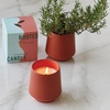 image:imageModern Sprout  2in1 Soy Candle amp Planter  in The Weeds Eucalyptus Pink Pepper Patchouli Citrus 6 Oz Scented Candle wMint Seeds  Ceramic Vessel Dual Purpose Jar  3840 Hour Burn3pack Lavender  Rosemary  Thyme