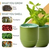 image:imageModern Sprout  2in1 Soy Candle amp Planter  in The Weeds Eucalyptus Pink Pepper Patchouli Citrus 6 Oz Scented Candle wMint Seeds  Ceramic Vessel Dual Purpose Jar  3840 Hour Burn1Pack In the Weeds  Mint