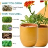 image:imageModern Sprout  2in1 Soy Candle amp Planter  in The Weeds Eucalyptus Pink Pepper Patchouli Citrus 6 Oz Scented Candle wMint Seeds  Ceramic Vessel Dual Purpose Jar  3840 Hour Burn3pack Cintronella