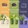 image:imageModern Sprout  2in1 Soy Candle amp Planter  in The Weeds Eucalyptus Pink Pepper Patchouli Citrus 6 Oz Scented Candle wMint Seeds  Ceramic Vessel Dual Purpose Jar  3840 Hour Burn3pack Lavender  Mint  Sage
