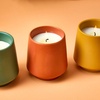 image:imageModern Sprout  2in1 Soy Candle amp Planter  in The Weeds Eucalyptus Pink Pepper Patchouli Citrus 6 Oz Scented Candle wMint Seeds  Ceramic Vessel Dual Purpose Jar  3840 Hour Burn3pack Lavender  Rosemary  Thyme