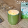 image:imageModern Sprout  2in1 Soy Candle amp Planter  in The Weeds Eucalyptus Pink Pepper Patchouli Citrus 6 Oz Scented Candle wMint Seeds  Ceramic Vessel Dual Purpose Jar  3840 Hour Burn1Pack In the Weeds  Mint