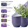 image:imageModern Sprout  2in1 Soy Candle amp Planter  in The Weeds Eucalyptus Pink Pepper Patchouli Citrus 6 Oz Scented Candle wMint Seeds  Ceramic Vessel Dual Purpose Jar  3840 Hour Burn1Pack Violet Hour  Lavender