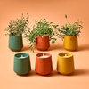 image:imageModern Sprout  2in1 Soy Candle amp Planter  in The Weeds Eucalyptus Pink Pepper Patchouli Citrus 6 Oz Scented Candle wMint Seeds  Ceramic Vessel Dual Purpose Jar  3840 Hour Burn3pack Lavender  Rosemary  Thyme