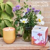 image:imageModern Sprout  2in1 Soy Candle amp Planter  in The Weeds Eucalyptus Pink Pepper Patchouli Citrus 6 Oz Scented Candle wMint Seeds  Ceramic Vessel Dual Purpose Jar  3840 Hour Burn3pack Cintronella