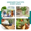 image:imageModern Sprout  2in1 Soy Candle amp Planter  in The Weeds Eucalyptus Pink Pepper Patchouli Citrus 6 Oz Scented Candle wMint Seeds  Ceramic Vessel Dual Purpose Jar  3840 Hour Burn3pack Cintronella