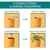 image:imageModern Sprout  2in1 Soy Candle amp Planter  in The Weeds Eucalyptus Pink Pepper Patchouli Citrus 6 Oz Scented Candle wMint Seeds  Ceramic Vessel Dual Purpose Jar  3840 Hour Burn3pack Cintronella