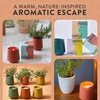 image:imageModern Sprout  2in1 Soy Candle amp Planter  in The Weeds Eucalyptus Pink Pepper Patchouli Citrus 6 Oz Scented Candle wMint Seeds  Ceramic Vessel Dual Purpose Jar  3840 Hour Burn1Pack Rosemary  Cucumber