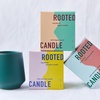 image:imageModern Sprout  2in1 Soy Candle amp Planter  in The Weeds Eucalyptus Pink Pepper Patchouli Citrus 6 Oz Scented Candle wMint Seeds  Ceramic Vessel Dual Purpose Jar  3840 Hour Burn3pack Lavender  Rosemary  Thyme
