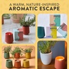 image:imageModern Sprout  2in1 Soy Candle amp Planter  in The Weeds Eucalyptus Pink Pepper Patchouli Citrus 6 Oz Scented Candle wMint Seeds  Ceramic Vessel Dual Purpose Jar  3840 Hour BurnLavendar  Cedarwood
