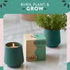 image:imageModern Sprout  2in1 Soy Candle amp Planter  in The Weeds Eucalyptus Pink Pepper Patchouli Citrus 6 Oz Scented Candle wMint Seeds  Ceramic Vessel Dual Purpose Jar  3840 Hour Burn1Pack Thyme  Tonka Bean