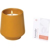 image:imageModern Sprout  2in1 Soy Candle amp Planter  in The Weeds Eucalyptus Pink Pepper Patchouli Citrus 6 Oz Scented Candle wMint Seeds  Ceramic Vessel Dual Purpose Jar  3840 Hour Burn3pack Lavender  Rosemary  Thyme