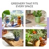 image:imageModern Sprout  2in1 Soy Candle amp Planter  in The Weeds Eucalyptus Pink Pepper Patchouli Citrus 6 Oz Scented Candle wMint Seeds  Ceramic Vessel Dual Purpose Jar  3840 Hour Burn1Pack Violet Hour  Lavender