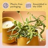 image:imageModern Sprout  2in1 Soy Candle amp Planter  in The Weeds Eucalyptus Pink Pepper Patchouli Citrus 6 Oz Scented Candle wMint Seeds  Ceramic Vessel Dual Purpose Jar  3840 Hour BurnLavendar  Cedarwood