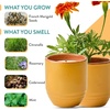 image:imageModern Sprout  2in1 Soy Candle amp Planter  in The Weeds Eucalyptus Pink Pepper Patchouli Citrus 6 Oz Scented Candle wMint Seeds  Ceramic Vessel Dual Purpose Jar  3840 Hour Burn1Pack Last Light  Cintronella