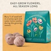 image:imageModern Sprout Bespoke Blooms Flower Seed Ball Kit Pack of 3 NonGMO 15 Hand Rolled Annual amp Perennial Wildflower Seed Bombs  Planting Gift for Gardeners Flower Party Wedding Favors  Made in USA