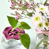 image:imageModern Sprout Botanical and Produce Keeper for Floral Arranging Herb Keeping and Plant Propagation  Food Safe and BPAFree Sustainable Materials Hydration Tray  Extends Freshness  2 PackBotanical Keepers  2pk