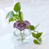 image:imageModern Sprout Botanical and Produce Keeper for Floral Arranging Herb Keeping and Plant Propagation  Food Safe and BPAFree Sustainable Materials Hydration Tray  Extends Freshness  2 PackBotanical Keepers  2pk