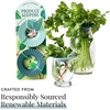 image:imageModern Sprout Botanical and Produce Keeper for Floral Arranging Herb Keeping and Plant Propagation  Food Safe and BPAFree Sustainable Materials Hydration Tray  Extends Freshness  2 PackProduce Keepers  2pk
