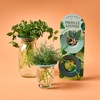 image:imageModern Sprout Botanical and Produce Keeper for Floral Arranging Herb Keeping and Plant Propagation  Food Safe and BPAFree Sustainable Materials Hydration Tray  Extends Freshness  2 PackBotanical  Produce Keeper  2pk
