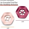 image:imageModern Sprout Botanical and Produce Keeper for Floral Arranging Herb Keeping and Plant Propagation  Food Safe and BPAFree Sustainable Materials Hydration Tray  Extends Freshness  2 PackBotanical Keepers  2pk