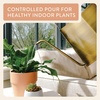 image:imageModern Sprout Brass Finish Plant Watering Can  3L Capacity  Long Spout Stainless Steel Vessel for Outdoor amp Indoor Plants  Rust Resistant  Garden Accessory for Houseplants amp Decorative UseBrass