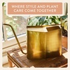image:imageModern Sprout Brass Finish Plant Watering Can  3L Capacity  Long Spout Stainless Steel Vessel for Outdoor amp Indoor Plants  Rust Resistant  Garden Accessory for Houseplants amp Decorative UseBrass