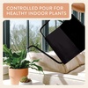 image:imageModern Sprout Brass Finish Plant Watering Can  3L Capacity  Long Spout Stainless Steel Vessel for Outdoor amp Indoor Plants  Rust Resistant  Garden Accessory for Houseplants amp Decorative UseMatte Black