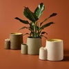 image:imageModern Sprout Ember Earth Candle Planter  2 in 1 Scented Soy Candle wBottom Feeding System amp Organic NonGMO Mint Seeds  8 Oz with 50 Hr Burn Time in a Ceramic Vessel for Indoor Herbs  PollinationPollination