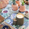 image:imageModern Sprout Ember Earth Candle Planter  2 in 1 Scented Soy Candle wBottom Feeding System amp Organic NonGMO Mint Seeds  8 Oz with 50 Hr Burn Time in a Ceramic Vessel for Indoor Herbs  PollinationRhizome