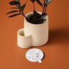 image:imageModern Sprout Ember Earth Candle Planter  2 in 1 Scented Soy Candle wBottom Feeding System amp Organic NonGMO Mint Seeds  8 Oz with 50 Hr Burn Time in a Ceramic Vessel for Indoor Herbs  PollinationPollination
