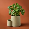 image:imageModern Sprout Ember Earth Candle Planter  2 in 1 Scented Soy Candle wBottom Feeding System amp Organic NonGMO Mint Seeds  8 Oz with 50 Hr Burn Time in a Ceramic Vessel for Indoor Herbs  PollinationPhotosynthesis w Basil Seeds