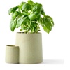 image:imageModern Sprout Ember Earth Candle Planter  2 in 1 Scented Soy Candle wBottom Feeding System amp Organic NonGMO Mint Seeds  8 Oz with 50 Hr Burn Time in a Ceramic Vessel for Indoor Herbs  PollinationPhotosynthesis w Basil Seeds