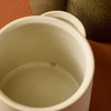 image:imageModern Sprout Ember Earth Candle Planter  2 in 1 Scented Soy Candle wBottom Feeding System amp Organic NonGMO Mint Seeds  8 Oz with 50 Hr Burn Time in a Ceramic Vessel for Indoor Herbs  PollinationRhizome
