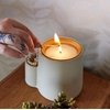 image:imageModern Sprout Ember Earth Candle Planter  2 in 1 Scented Soy Candle wBottom Feeding System amp Organic NonGMO Mint Seeds  8 Oz with 50 Hr Burn Time in a Ceramic Vessel for Indoor Herbs  PollinationPollination