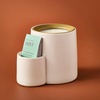 image:imageModern Sprout Ember Earth Candle Planter  2 in 1 Scented Soy Candle wBottom Feeding System amp Organic NonGMO Mint Seeds  8 Oz with 50 Hr Burn Time in a Ceramic Vessel for Indoor Herbs  PollinationPollination w Mint Seeds