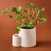 image:imageModern Sprout Ember Earth Candle Planter  2 in 1 Scented Soy Candle wBottom Feeding System amp Organic NonGMO Mint Seeds  8 Oz with 50 Hr Burn Time in a Ceramic Vessel for Indoor Herbs  PollinationPollination w Mint Seeds