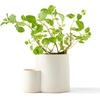 image:imageModern Sprout Ember Earth Candle Planter  2 in 1 Scented Soy Candle wBottom Feeding System amp Organic NonGMO Mint Seeds  8 Oz with 50 Hr Burn Time in a Ceramic Vessel for Indoor Herbs  PollinationPollination w Mint Seeds
