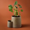 image:imageModern Sprout Ember Earth Candle Planter  2 in 1 Scented Soy Candle wBottom Feeding System amp Organic NonGMO Mint Seeds  8 Oz with 50 Hr Burn Time in a Ceramic Vessel for Indoor Herbs  PollinationRhizome w Sage Seeds
