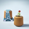 image:imageModern Sprout Flower Grow Kit  Ceramic Planter with Indoor Hydroponics Growing System Kit Ideal for Living Room Decor  Unique Gardening Gifts  Morning Glory Self Watering Flower Planting KitZinnia Dahlia