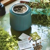 image:imageModern Sprout Flower Grow Kit  Ceramic Planter with Indoor Hydroponics Growing System Kit Ideal for Living Room Decor  Unique Gardening Gifts  Morning Glory Self Watering Flower Planting KitDaisy Daydream