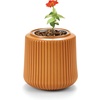image:imageModern Sprout Flower Grow Kit  Ceramic Planter with Indoor Hydroponics Growing System Kit Ideal for Living Room Decor  Unique Gardening Gifts  Morning Glory Self Watering Flower Planting KitZinnia Dahlia