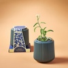 image:imageModern Sprout Flower Grow Kit  Ceramic Planter with Indoor Hydroponics Growing System Kit Ideal for Living Room Decor  Unique Gardening Gifts  Morning Glory Self Watering Flower Planting KitDaisy Daydream