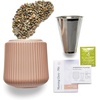 image:imageModern Sprout Flower Grow Kit  Ceramic Planter with Indoor Hydroponics Growing System Kit Ideal for Living Room Decor  Unique Gardening Gifts  Morning Glory Self Watering Flower Planting KitMorning Glory